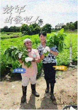 野生邻居自然生态纪录片封面